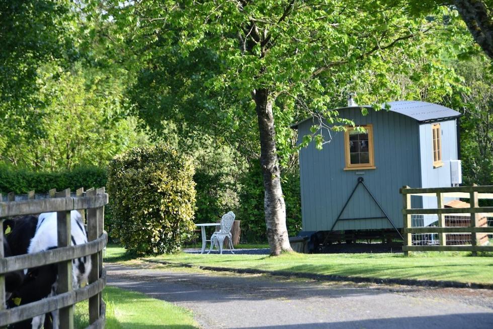 The Shepherds Hut Carmarthen Zewnętrze zdjęcie